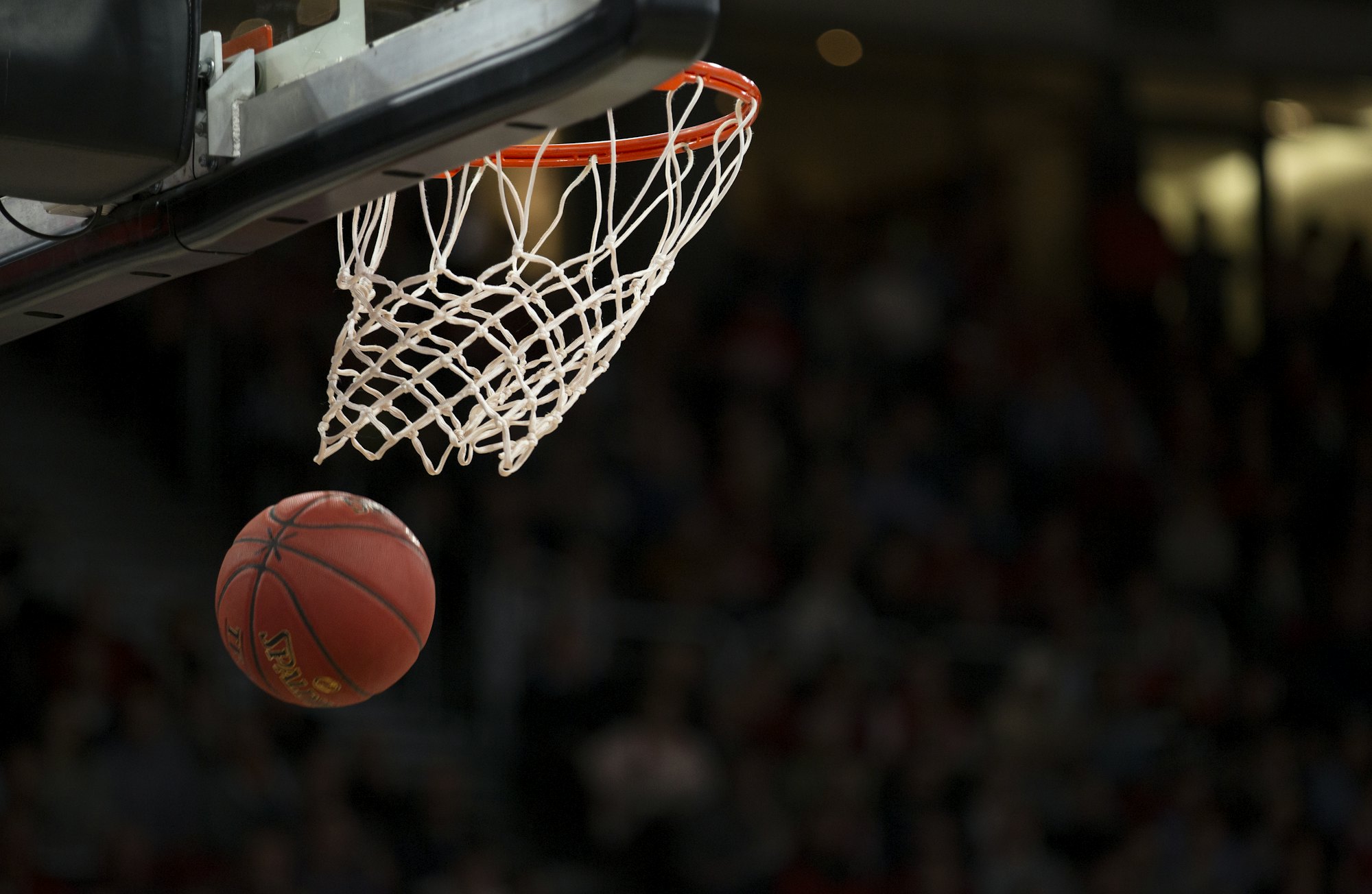 A packed arena under the lights — the game we fell in love with.